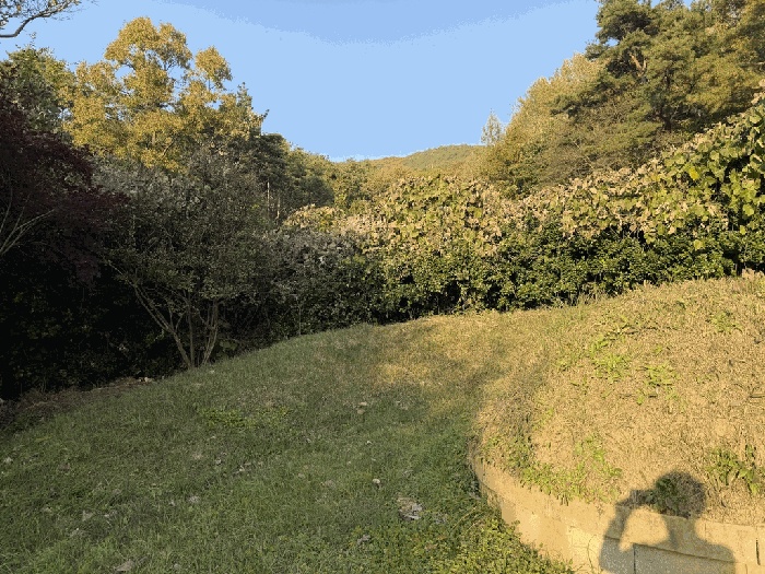 대구지법 2025타경9609-1 사진