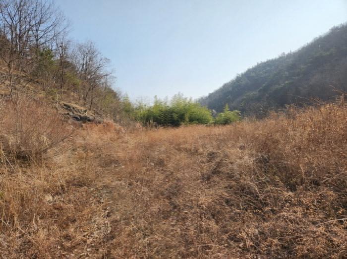대구지법 2025타경10223-2 사진
