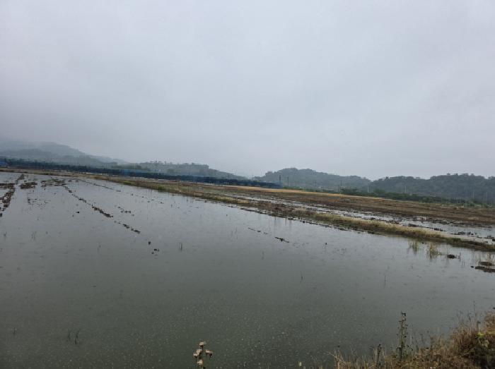 대구지법 2026타경1259-1 사진