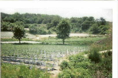 안동지원 2007타경3394-1 사진