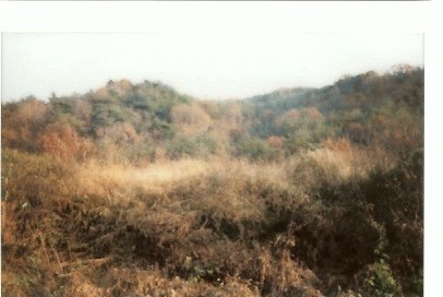 안동지원 2007타경6089-1 사진