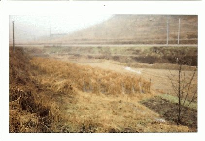 안동지원 2007타경8474-2 사진