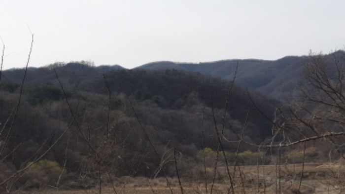 경주지원 2019타경629-2 사진
