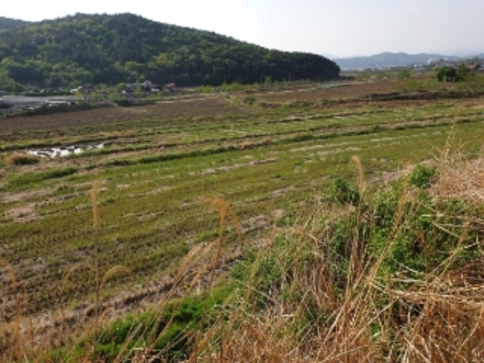 경주지원 2019타경1684-3 사진