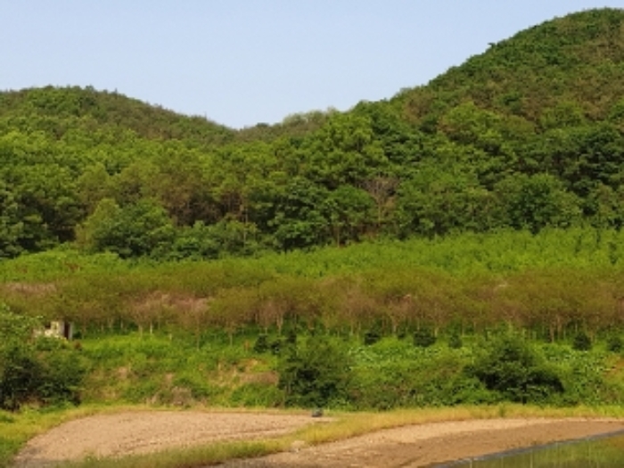 경주지원 2019타경2076-1 사진