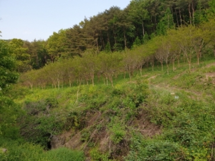 경주지원 2019타경2083-5 사진