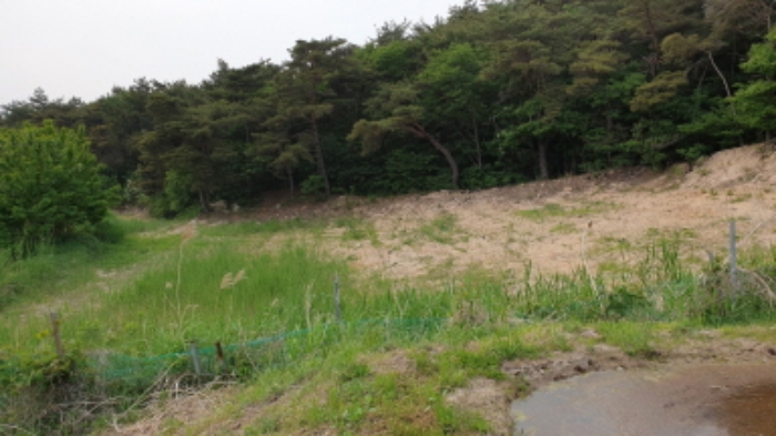 경주지원 2019타경2311-1 사진