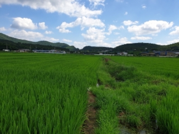경주지원 2019타경3611-1 사진
