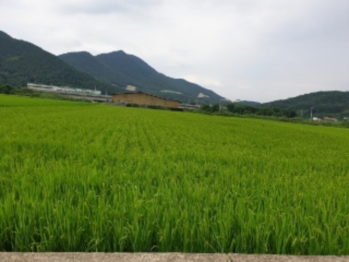 경주지원 2019타경3789-1 사진