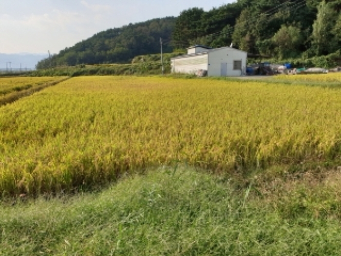 경주지원 2019타경4805-1 사진