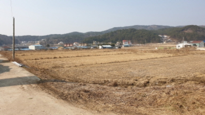 경주지원 2019타경10299-1 사진