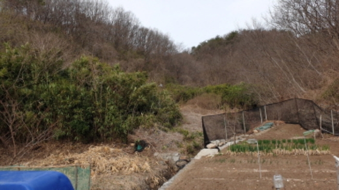 경주지원 2019타경10688-1 사진