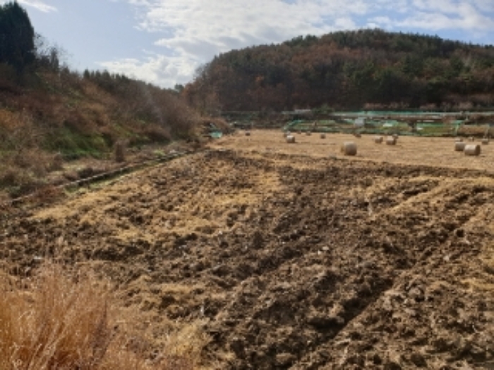 경주지원 2019타경13373-5 사진