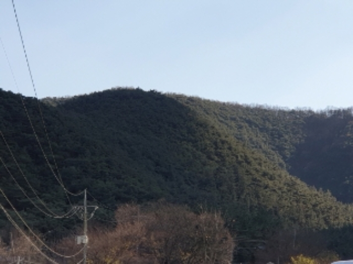 경주지원 2021타경13727-1 사진