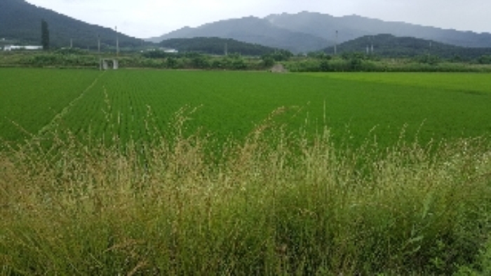 김천지원 2017타경3382-1 사진