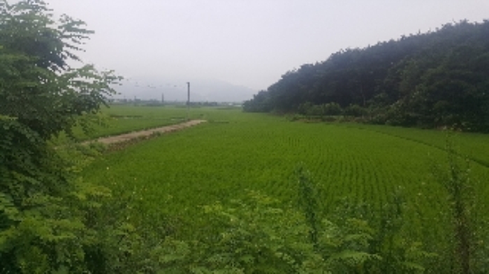 김천지원 2017타경11444-1 사진