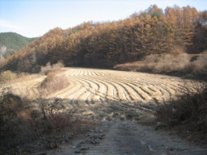 상주지원 2017타경70897-1 사진