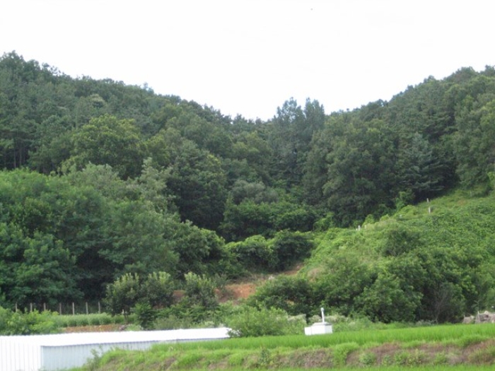 상주지원 2018타경1454-1 사진