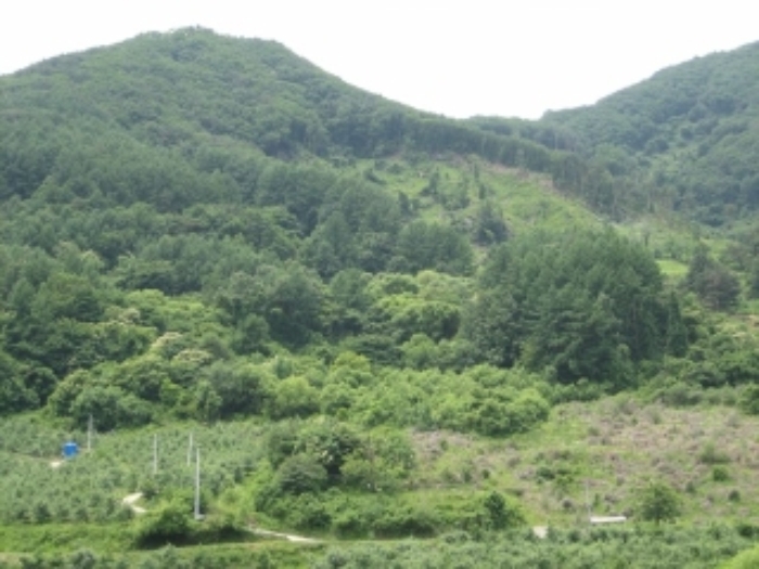 상주지원 2018타경70498-1 사진