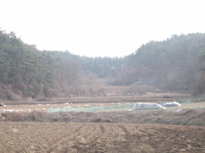 상주지원 2019타경3815-2 사진
