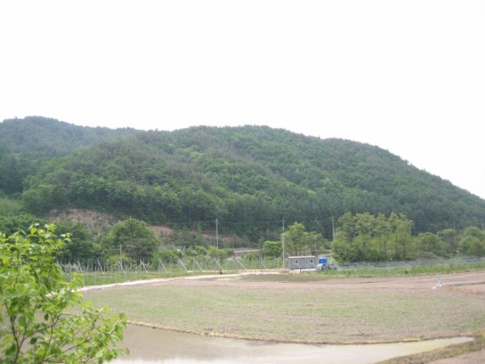 상주지원 2019타경70846-1 사진