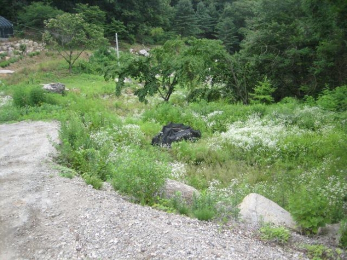 상주지원 2019타경71368-1 사진