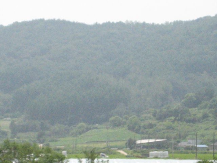 상주지원 2019타경71788-1 사진