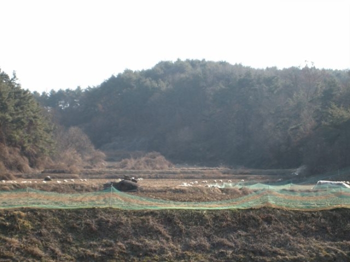 상주지원 2019타경72934-1 사진