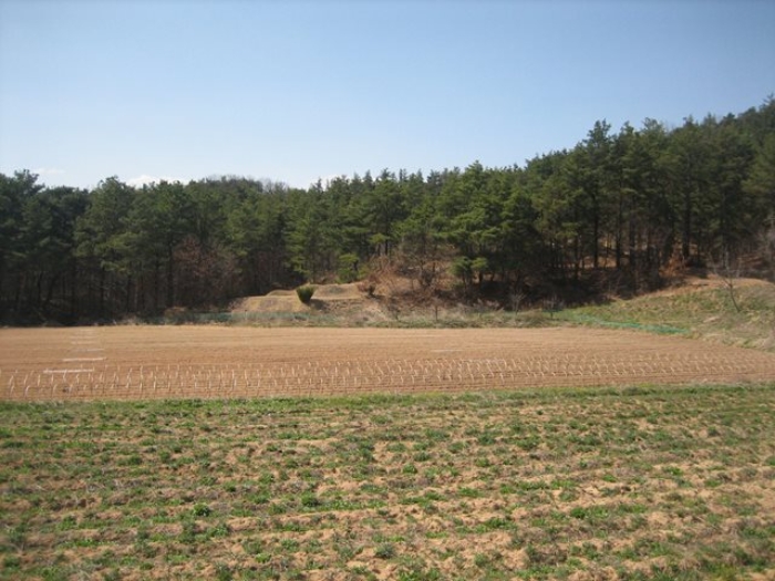 상주지원 2020타경584-3 사진
