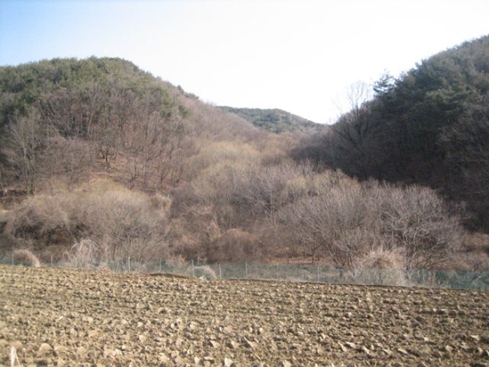 상주지원 2020타경70170-1 사진