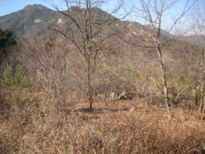 상주지원 2022타경21-3 사진