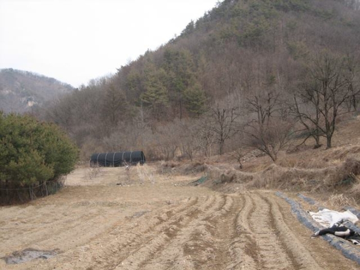 상주지원 2022타경70389-2 사진