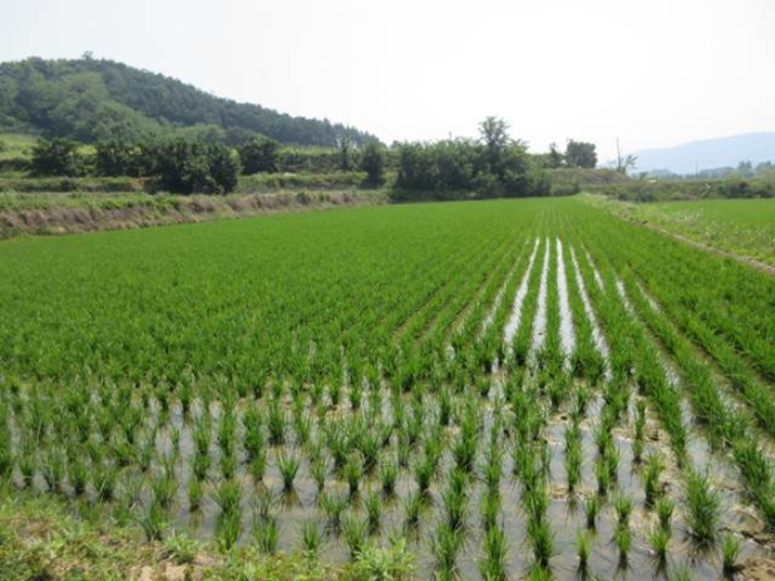 상주지원 2024타경71447-1 사진