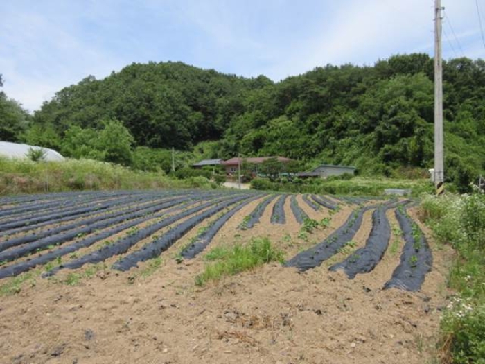 상주지원 2024타경71492-1 사진