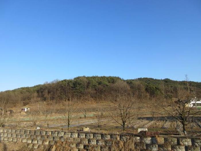 상주지원 2025타경5133-1 사진