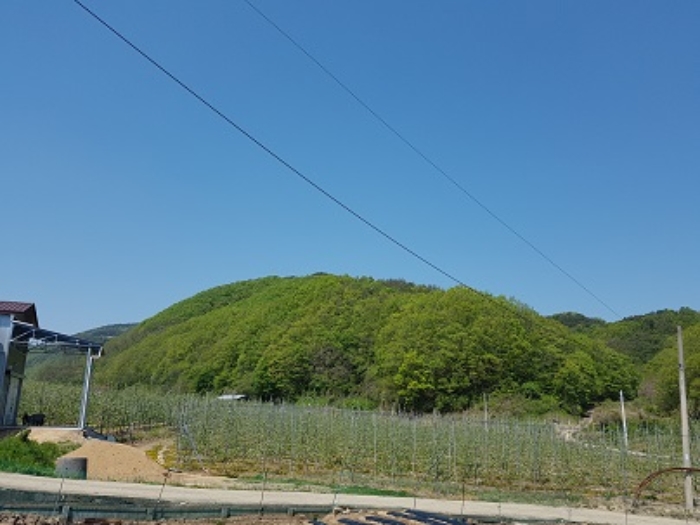 의성지원 2022타경444-1 사진