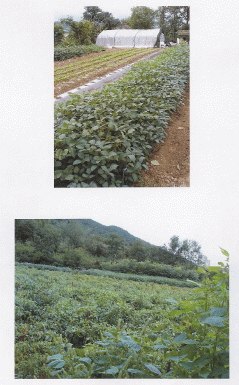 포항지원 2006타경9461-3 사진