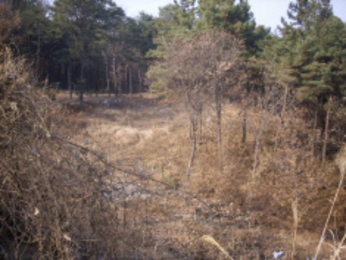 포항지원 2008타경9939-2 사진