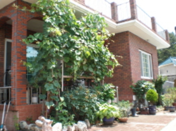 포항지원 2009타경5170-1 사진