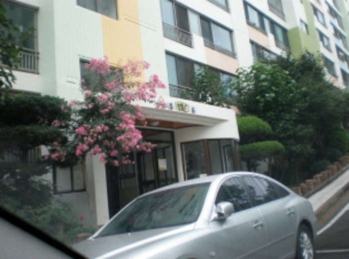포항지원 2009타경6241-1 사진