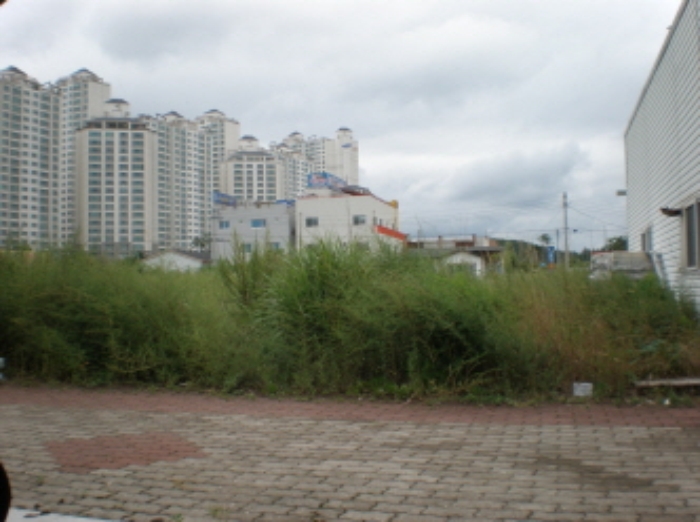포항지원 2014타경4782-1 사진
