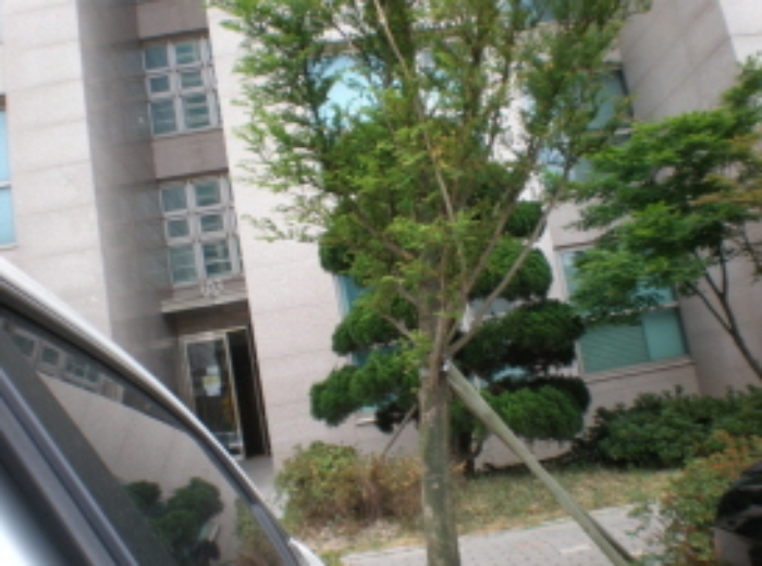 포항지원 2015타경3342-1 사진