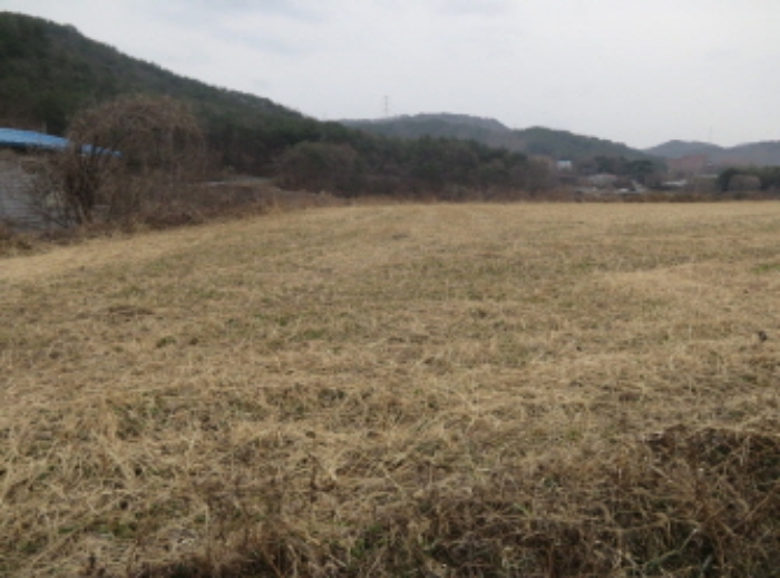 포항지원 2019타경8550-1 사진
