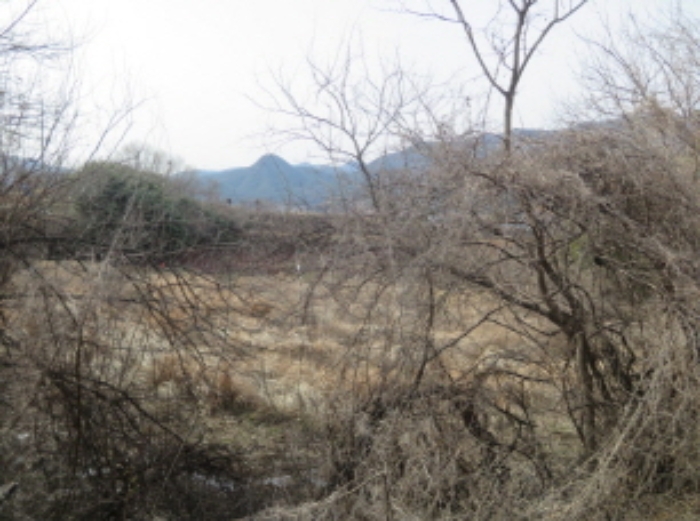 포항지원 2019타경9027-1 사진