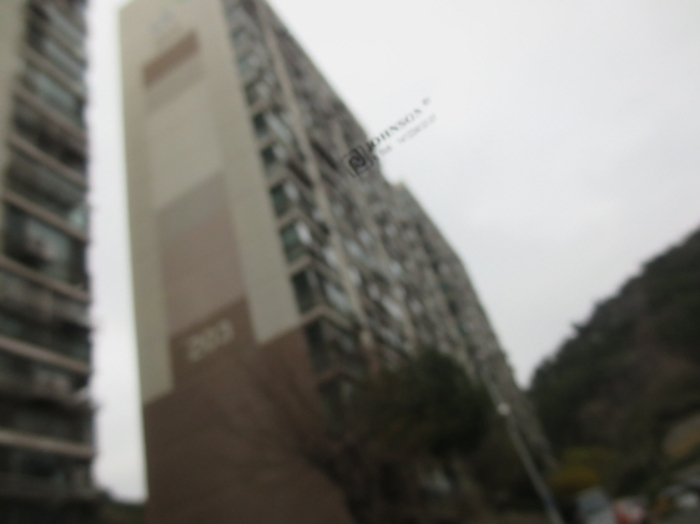 포항지원 2019타경30977-1 사진
