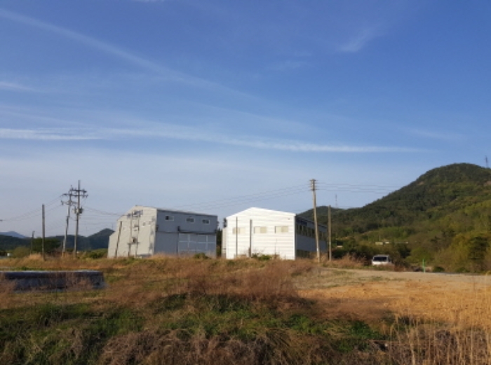 포항지원 2019타경31017-1 사진
