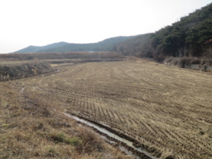 포항지원 2019타경35644-1 사진