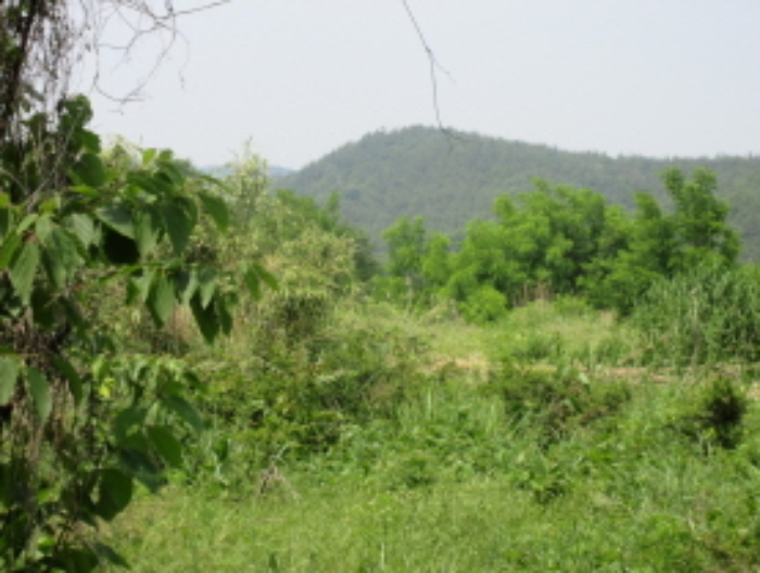 포항지원 2021타경32365-2 사진