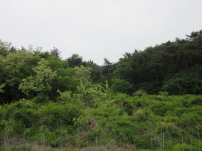 포항지원 2022타경32010-1 사진