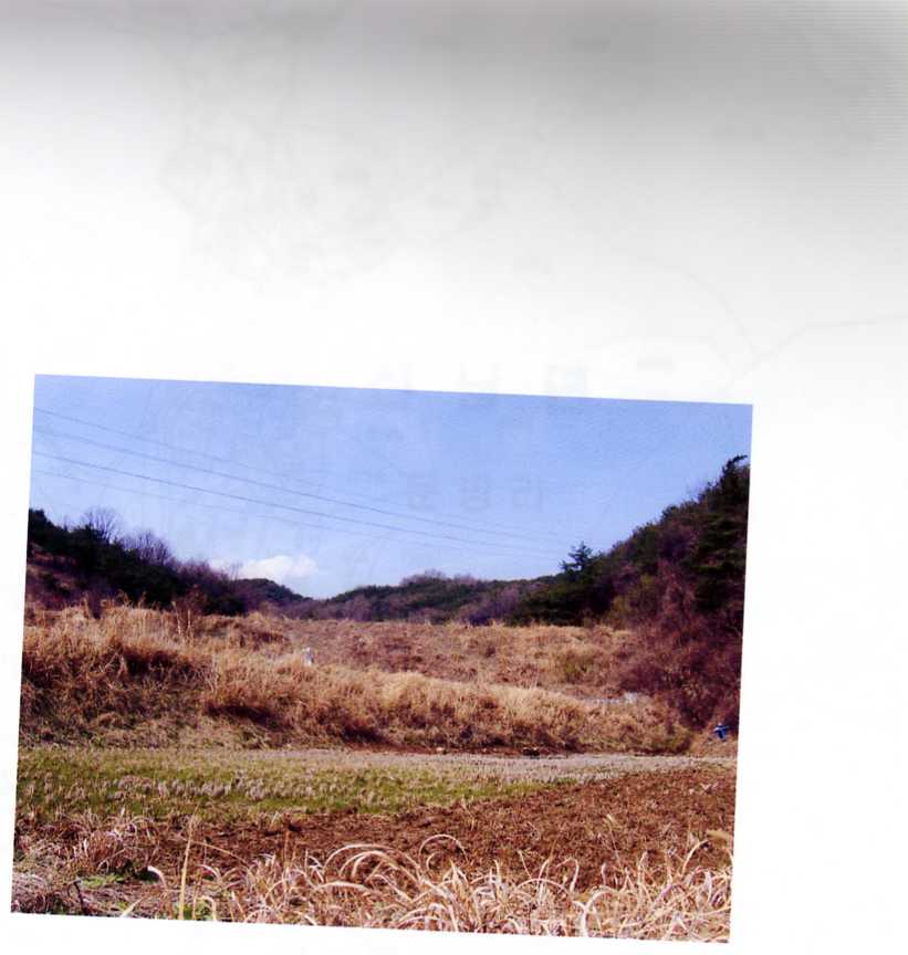 대구서부지원 2007타경6281-1 사진